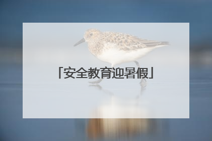 安全教育迎暑假