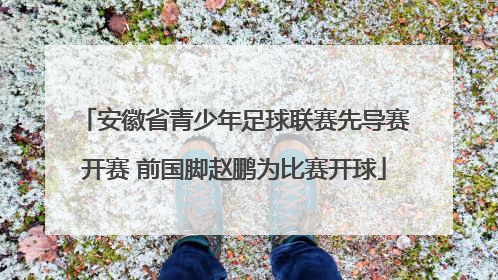 安徽省青少年足球联赛先导赛开赛 前国脚赵鹏为比赛开球