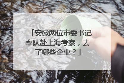 安徽两位市委书记率队赴上海考察，去了哪些企业？