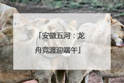 安徽五河：龙舟竞渡迎端午