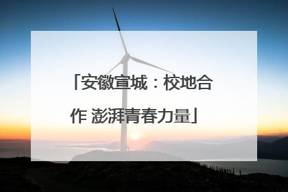 安徽宣城：校地合作 澎湃青春力量