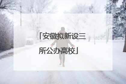 安徽拟新设三所公办高校