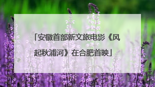 安徽首部新文旅电影《风起秋浦河》在合肥首映