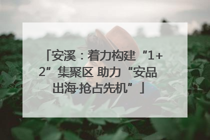 安溪：着力构建“1+2”集聚区 助力“安品出海·抢占先机”