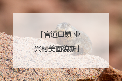 官道口镇 业兴村美面貌新
