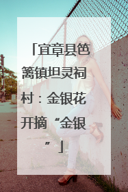 宜章县笆篱镇坦灵祠村：金银花开摘“金银”