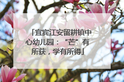 宜宾江安留耕镇中心幼儿园：“芒”有所获，学有所得
