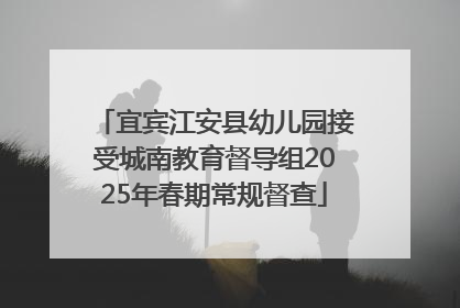 宜宾江安县幼儿园接受城南教育督导组2025年春期常规督查