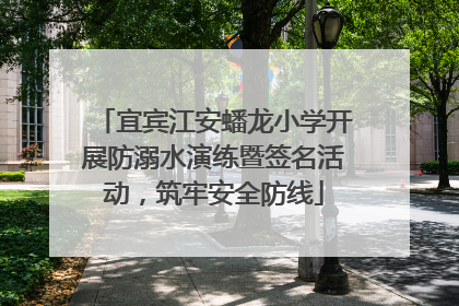 宜宾江安蟠龙小学开展防溺水演练暨签名活动，筑牢安全防线