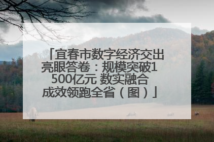宜春市数字经济交出亮眼答卷：规模突破1500亿元 数实融合成效领跑全省（图）