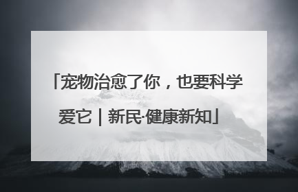 宠物治愈了你，也要科学爱它｜新民·健康新知