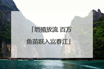 增殖放流 百万鱼苗跃入富春江