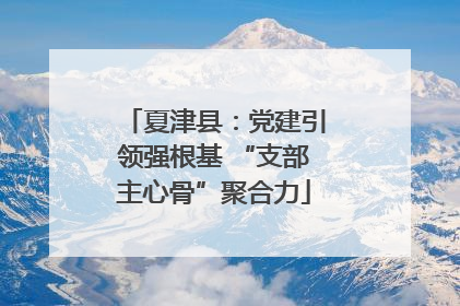 夏津县：党建引领强根基 “支部主心骨”聚合力