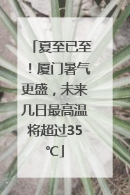 夏至已至！厦门暑气更盛，未来几日最高温将超过35℃