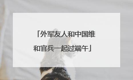 外军友人和中国维和官兵一起过端午
