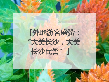 外地游客盛赞：“大美长沙，大美长沙民警”