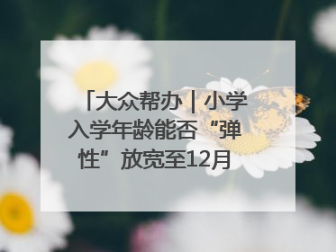 大众帮办｜小学入学年龄能否“弹性”放宽至12月31日？有地方已在探索