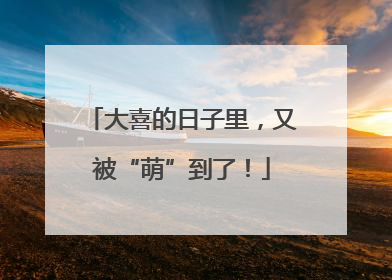 大喜的日子里，又被“萌”到了！