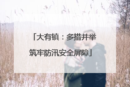 大有镇：多措并举筑牢防汛安全屏障