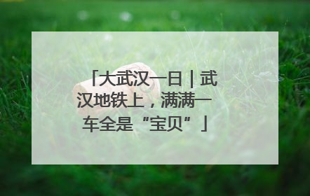 大武汉一日｜武汉地铁上，满满一车全是“宝贝”