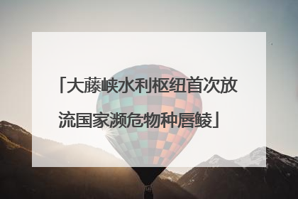 大藤峡水利枢纽首次放流国家濒危物种唇鲮