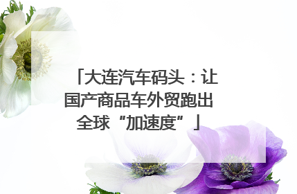 大连汽车码头：让国产商品车外贸跑出全球“加速度”