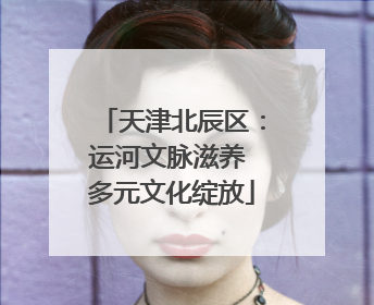 天津北辰区：运河文脉滋养 多元文化绽放