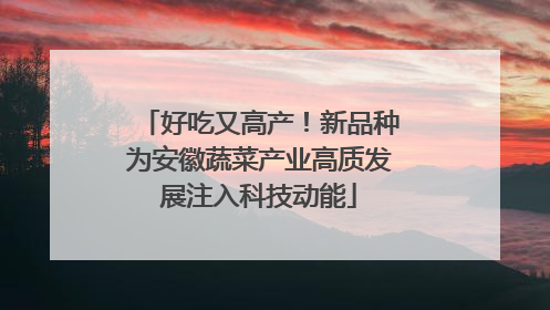 好吃又高产！新品种为安徽蔬菜产业高质发展注入科技动能
