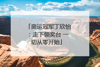 奥运冠军丁欣怡：走下领奖台 一切从零开始