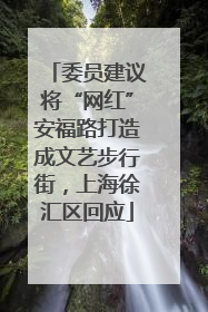 委员建议将“网红”安福路打造成文艺步行街，上海徐汇区回应