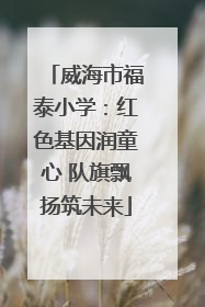 威海市福泰小学：红色基因润童心 队旗飘扬筑未来