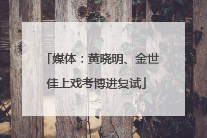 媒体：黄晓明、金世佳上戏考博进复试