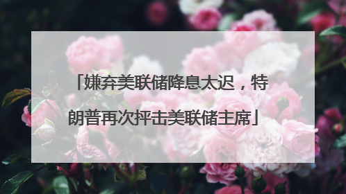 嫌弃美联储降息太迟，特朗普再次抨击美联储主席