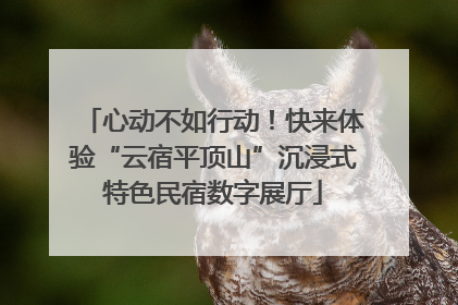 心动不如行动！快来体验“云宿平顶山”沉浸式特色民宿数字展厅
