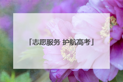 志愿服务 护航高考