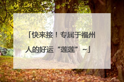 快来接！专属于福州人的好运“莲莲”~