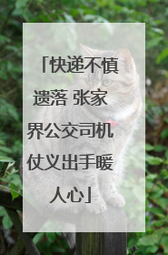 快递不慎遗落 张家界公交司机仗义出手暖人心