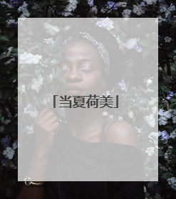 当夏荷美