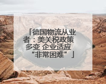 德国物流从业者：美关税政策多变 企业适应“非常困难”