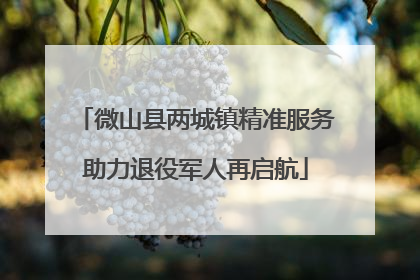 微山县两城镇精准服务助力退役军人再启航