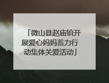 微山县赵庙镇开展爱心妈妈蓄力行动集体关爱活动