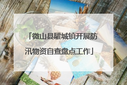 微山县驩城镇开展防汛物资自查盘点工作