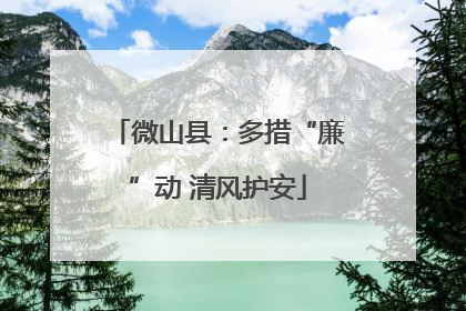 微山县：多措“廉”动 清风护安