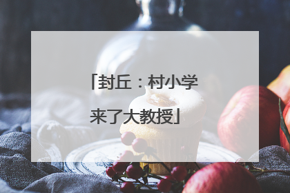 封丘：村小学来了大教授