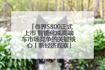 尊界S800正式上市 智能化成高端车市场竞争的关键核心丨新经济观察