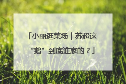 小丽逛菜场｜苏超这“鹅”到底谁家的？