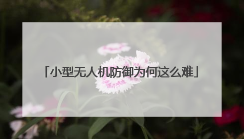 小型无人机防御为何这么难