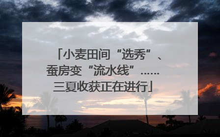 小麦田间“选秀”、蚕房变“流水线”……三夏收获正在进行