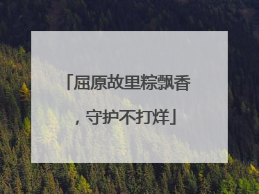 屈原故里粽飘香，守护不打烊