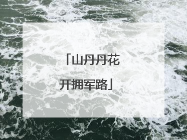 山丹丹花开拥军路